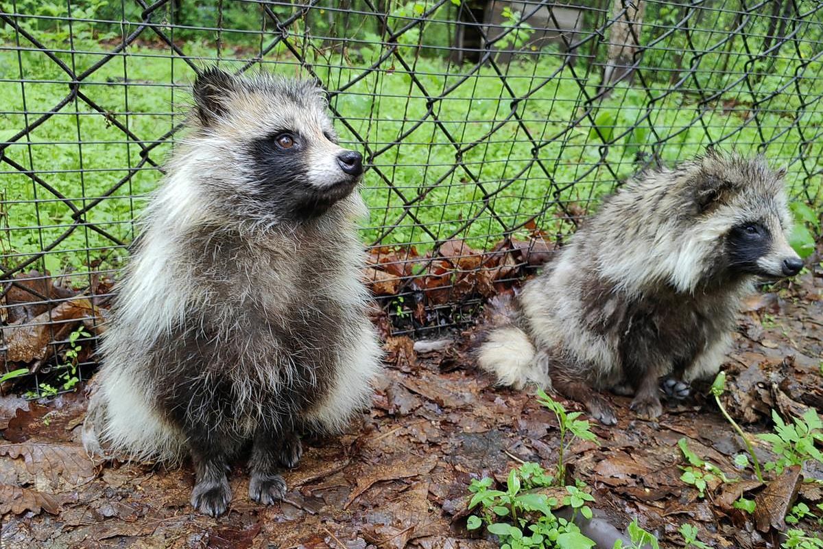 Приморье и Сахалин в одном туре