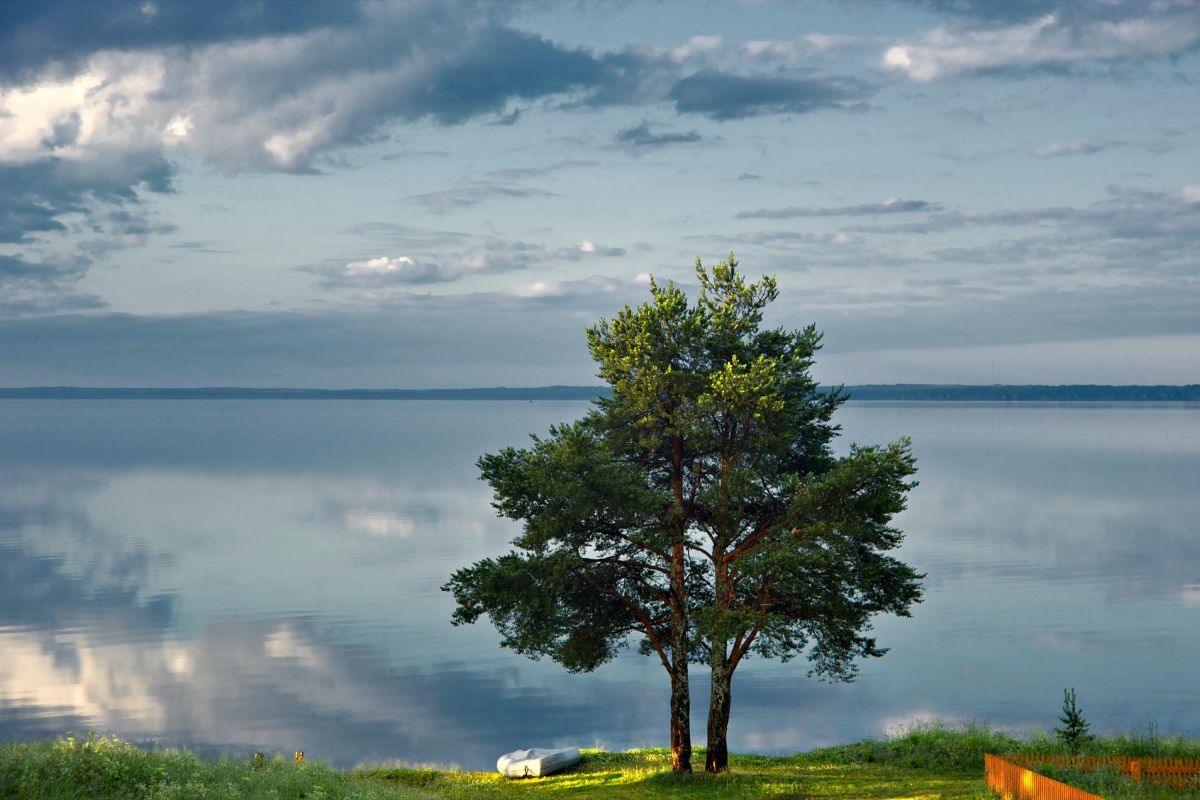 Банный тур в Кенозерье "Северная баня"