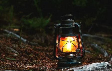 Квест-экскурсия "Дремучий лес"