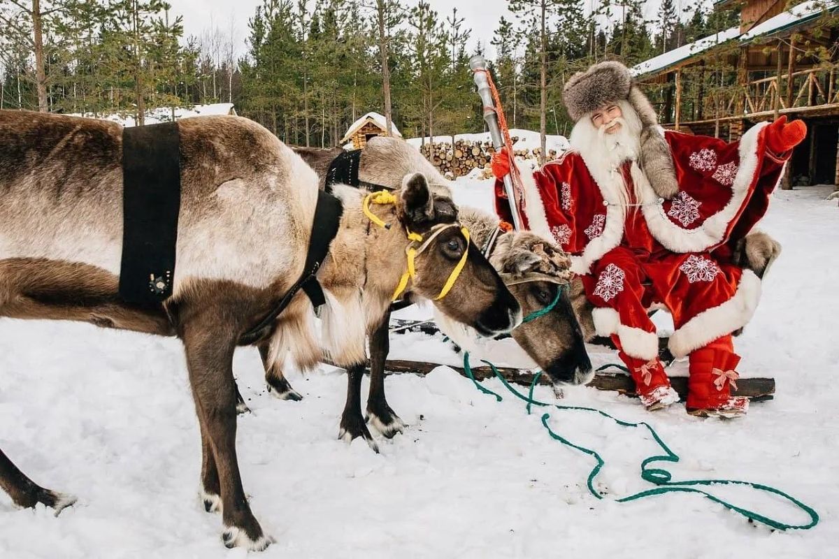 Новогодний тур в Карелию + Кижи (через Заонежье, 5 дней)