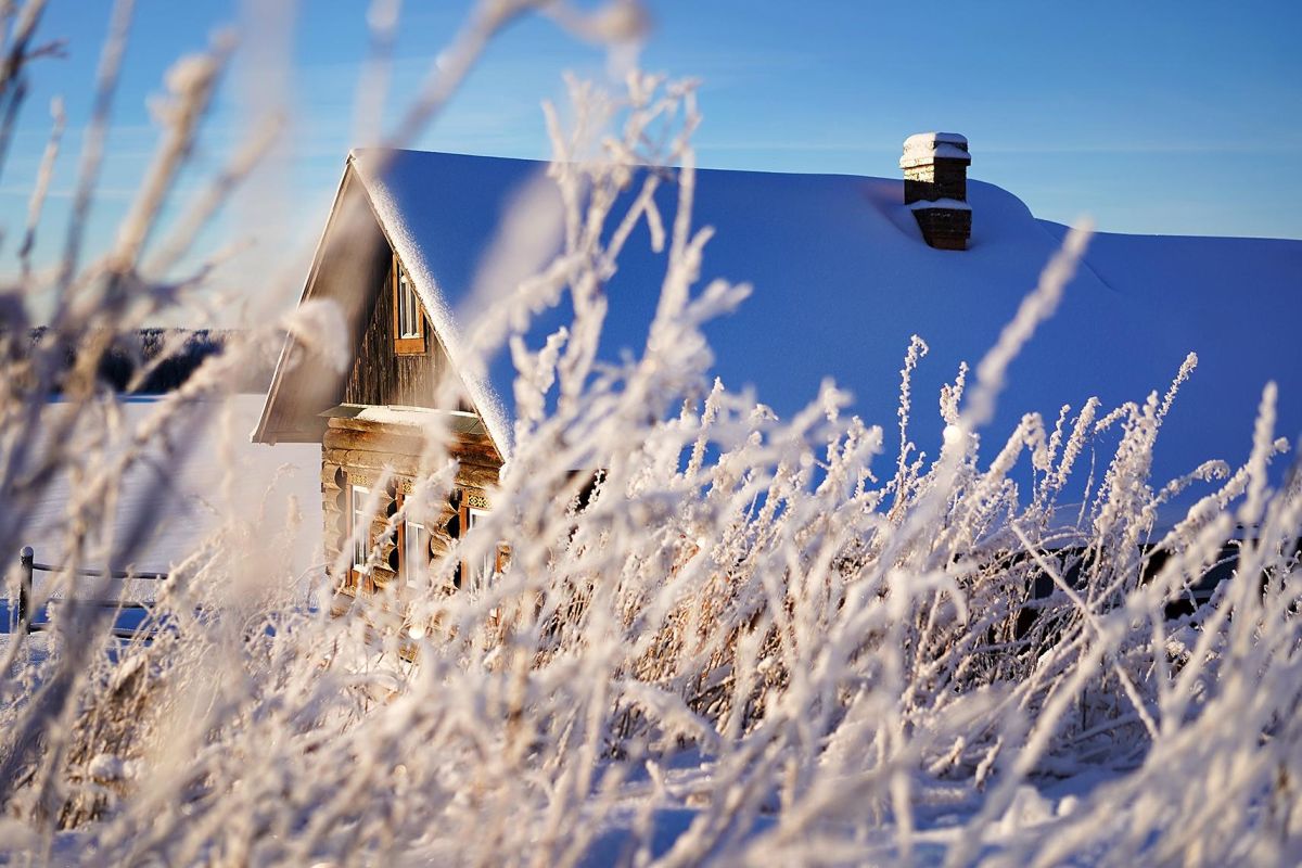 Тур выходного дня "ПРЕДНОВОГОДНИЕ ЧУДЕСА В КЕНОЗЕРЬЕ"