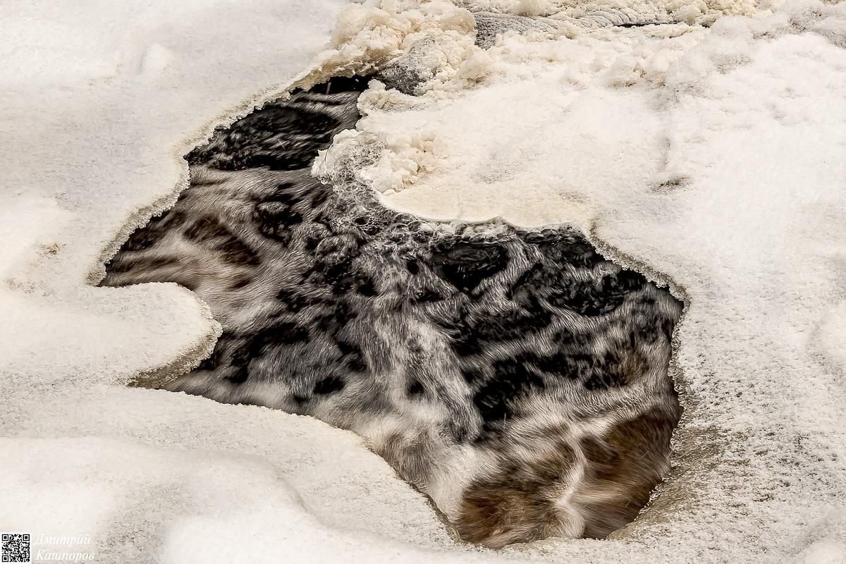 Времена года. Зимняя Карелия с фотографом