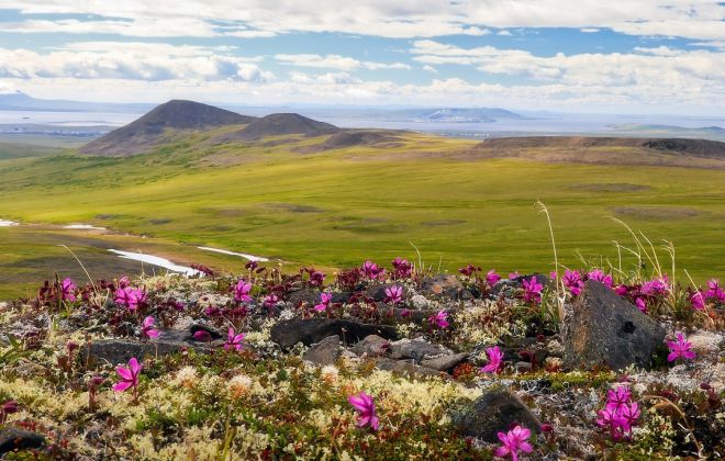 Чукотка: для чутких сердец