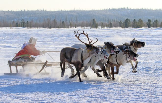 Знакомство с жизнью коренных народов