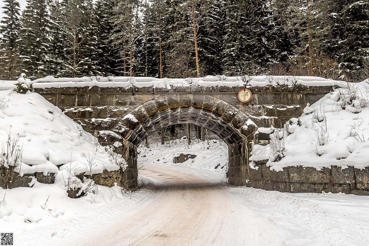 Времена года. Зимняя Карелия с фотографом