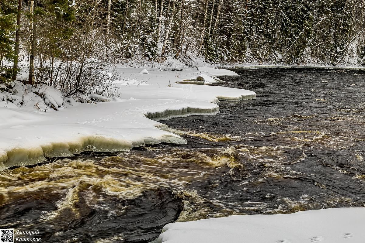 Времена года. Зимняя Карелия с фотографом