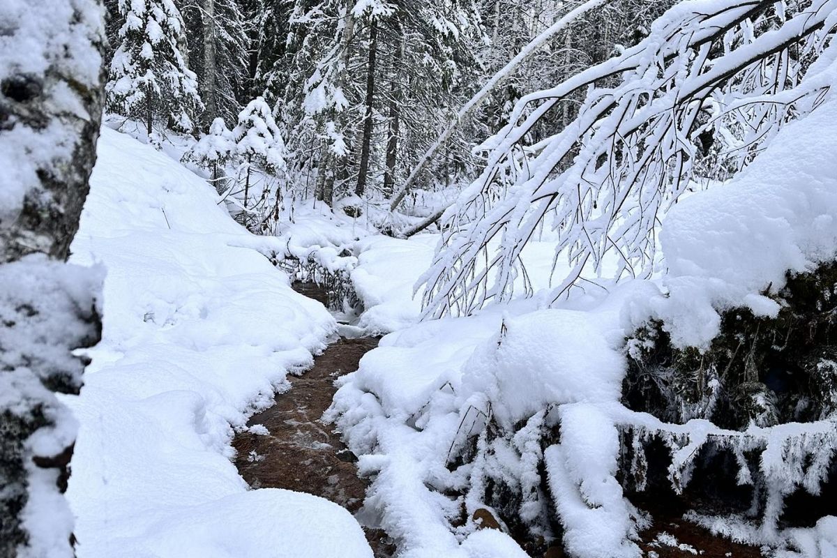 Урочище Куртяево - таинственность и недосказанность мифов и легенд