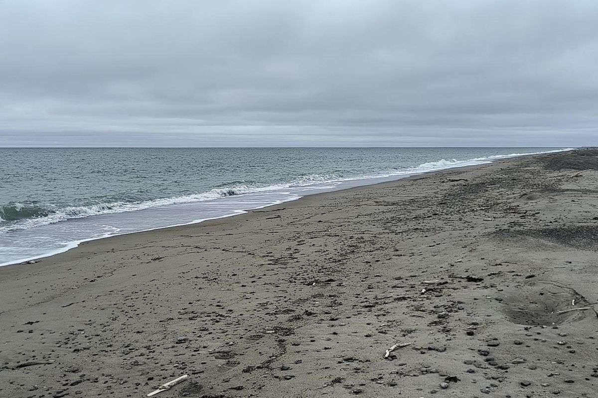 Бросок к последнему морю  (Берингово море, коса Русская Кошка)