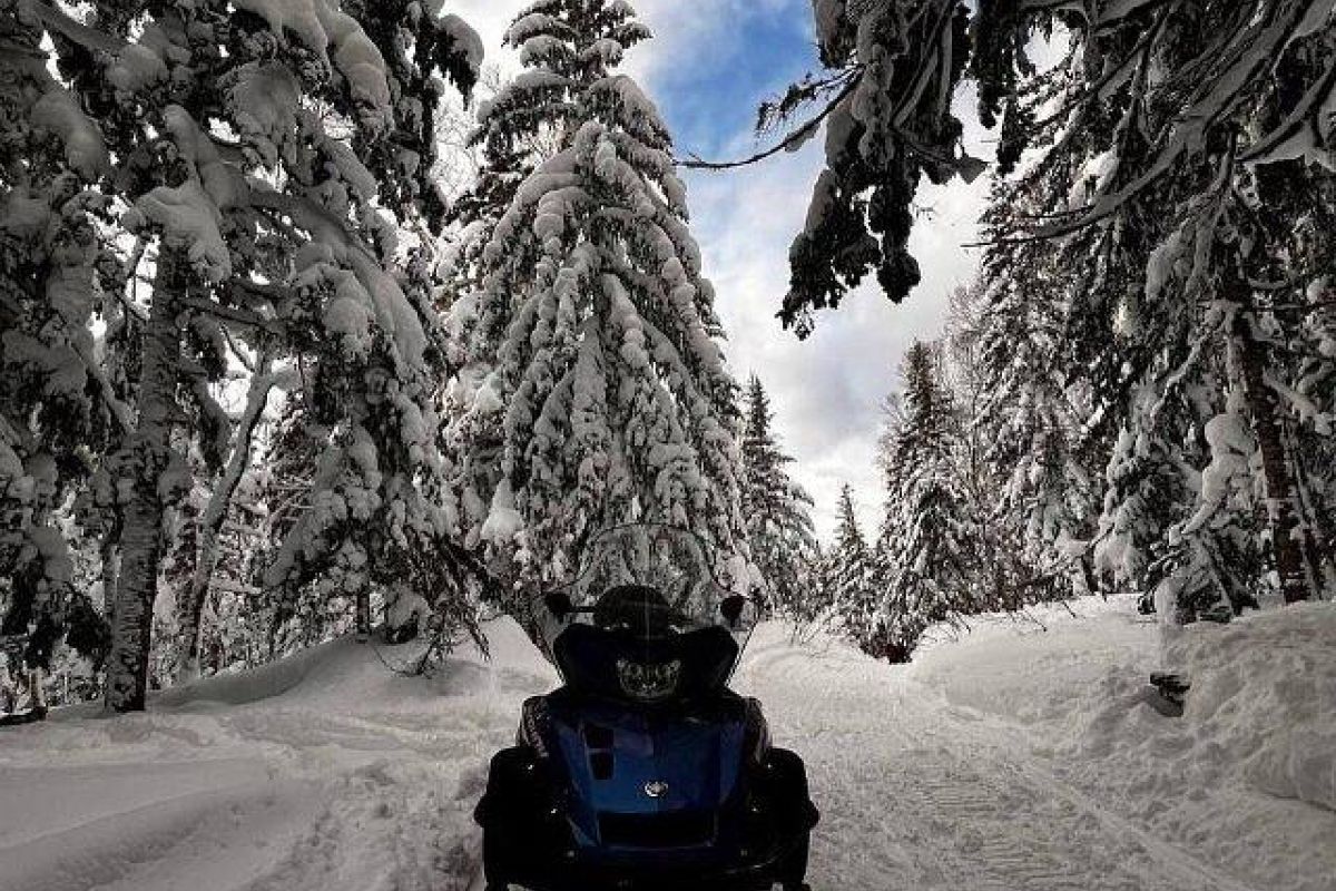 Сафари на снегоходах. Зимний Сахалин.
