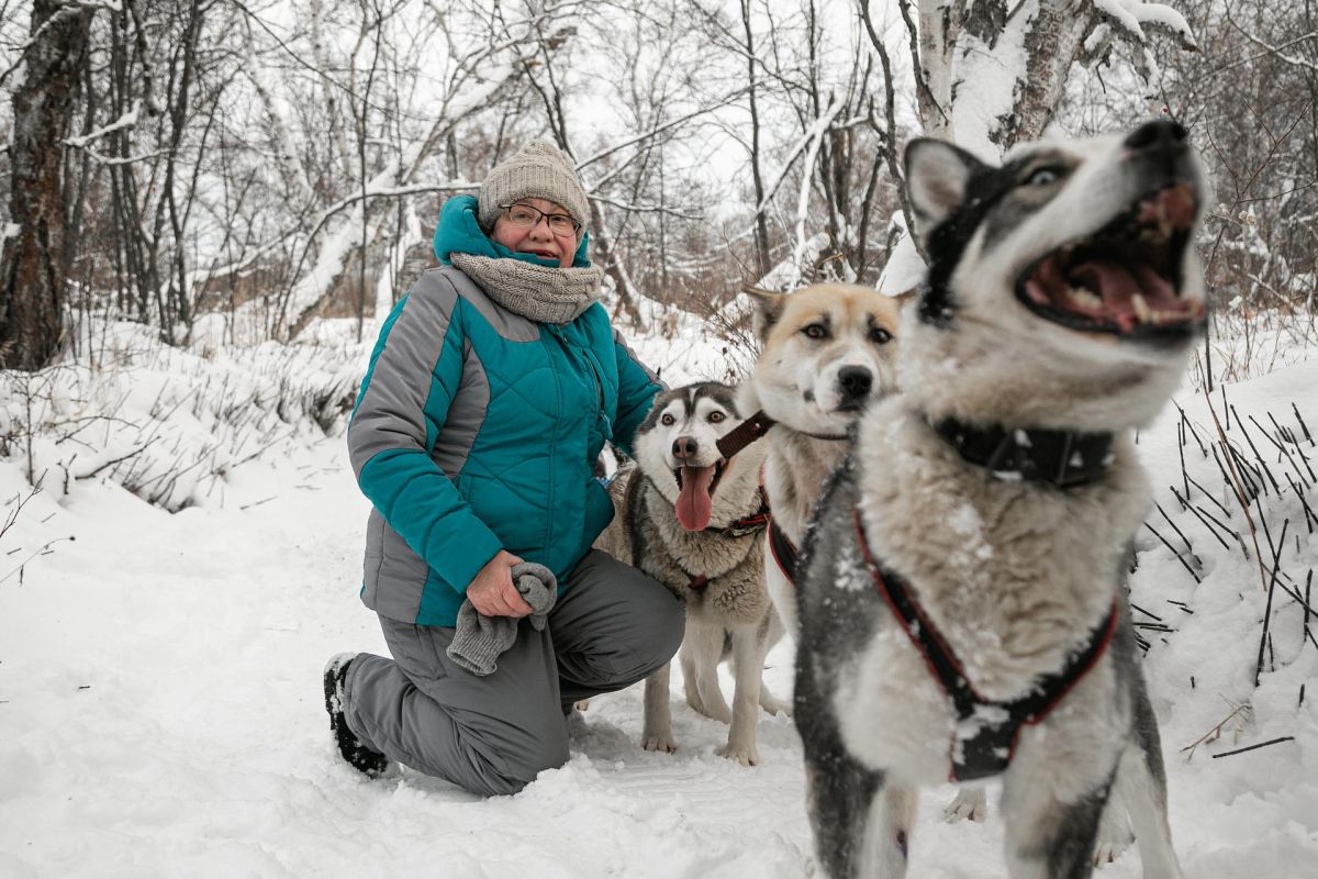 Катание на собачьих упряжках + этноэкскурсия на Камчатке