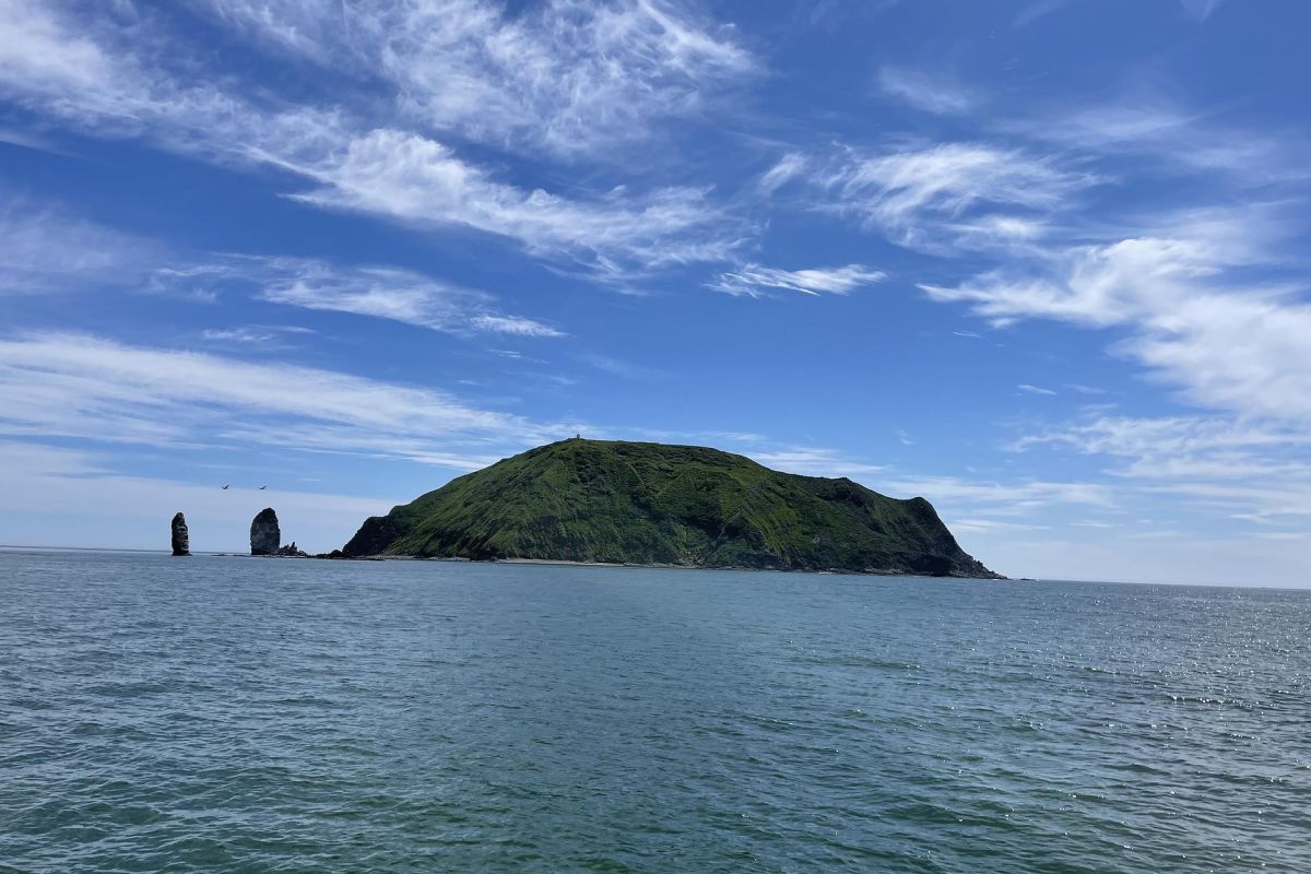 Камчатский натюрморт