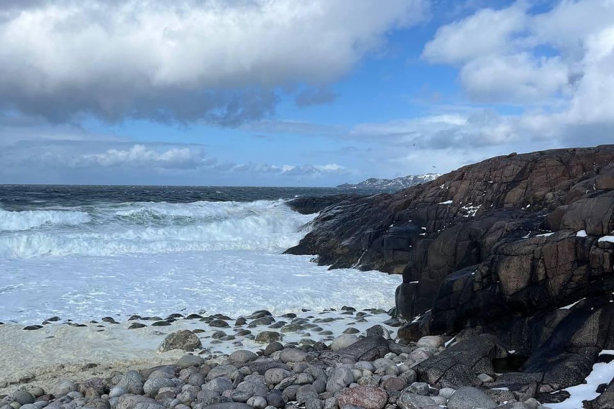 Териберка с пешей прогулкой (зима)