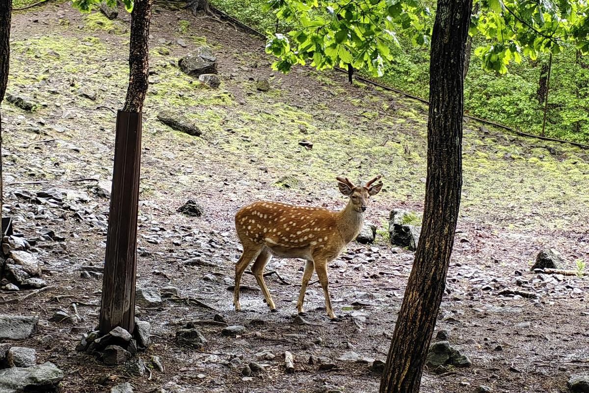 Приморье и Сахалин в одном туре