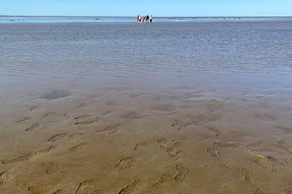 Южный берег Карского моря