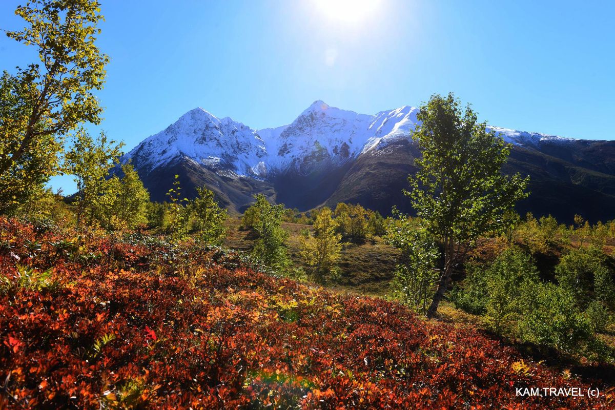 Хиты Камчатки