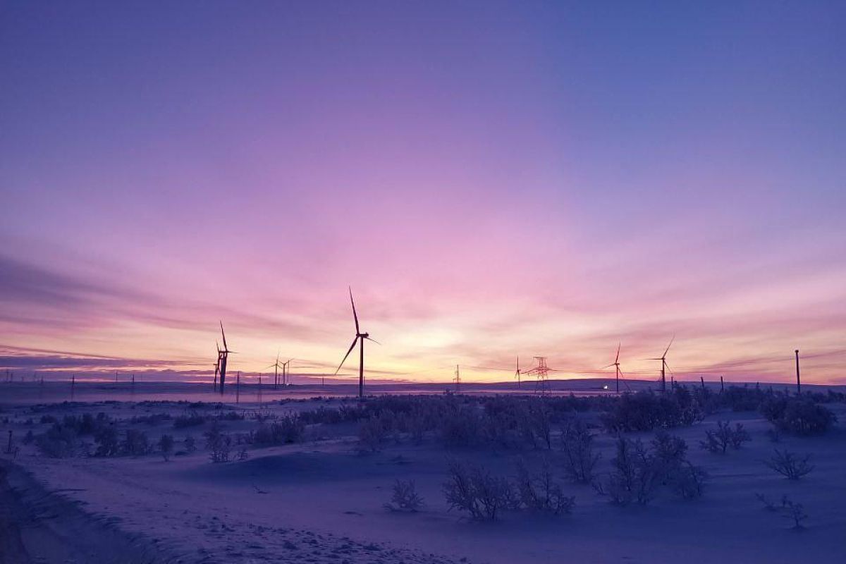 Териберка - наедине с суровой красотой (новогодняя)