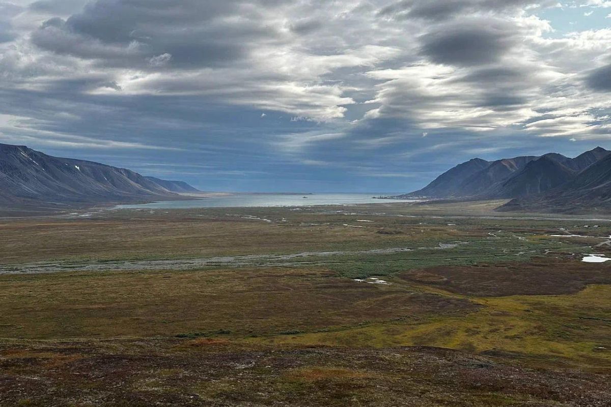 «Корфест-2026» на Чукотке (эксклюзив)