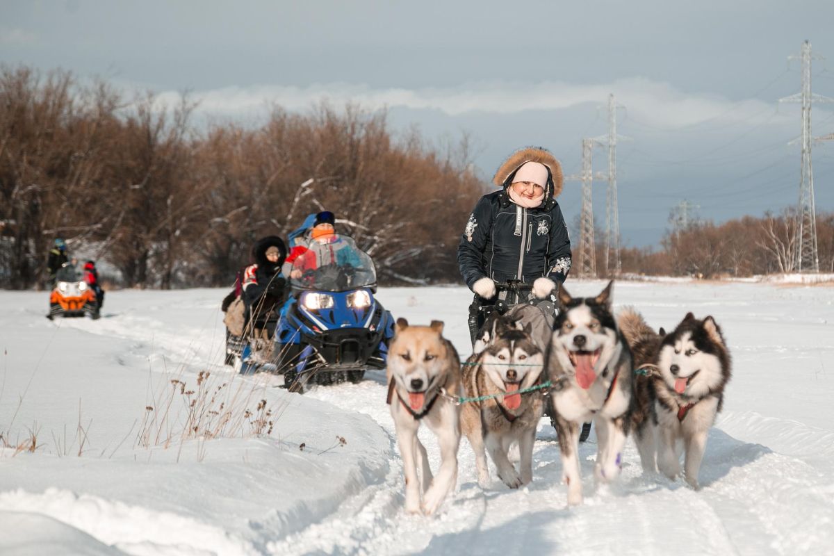 Экскурсия с катание на собачьих упряжках и горячим источником – Камчатка