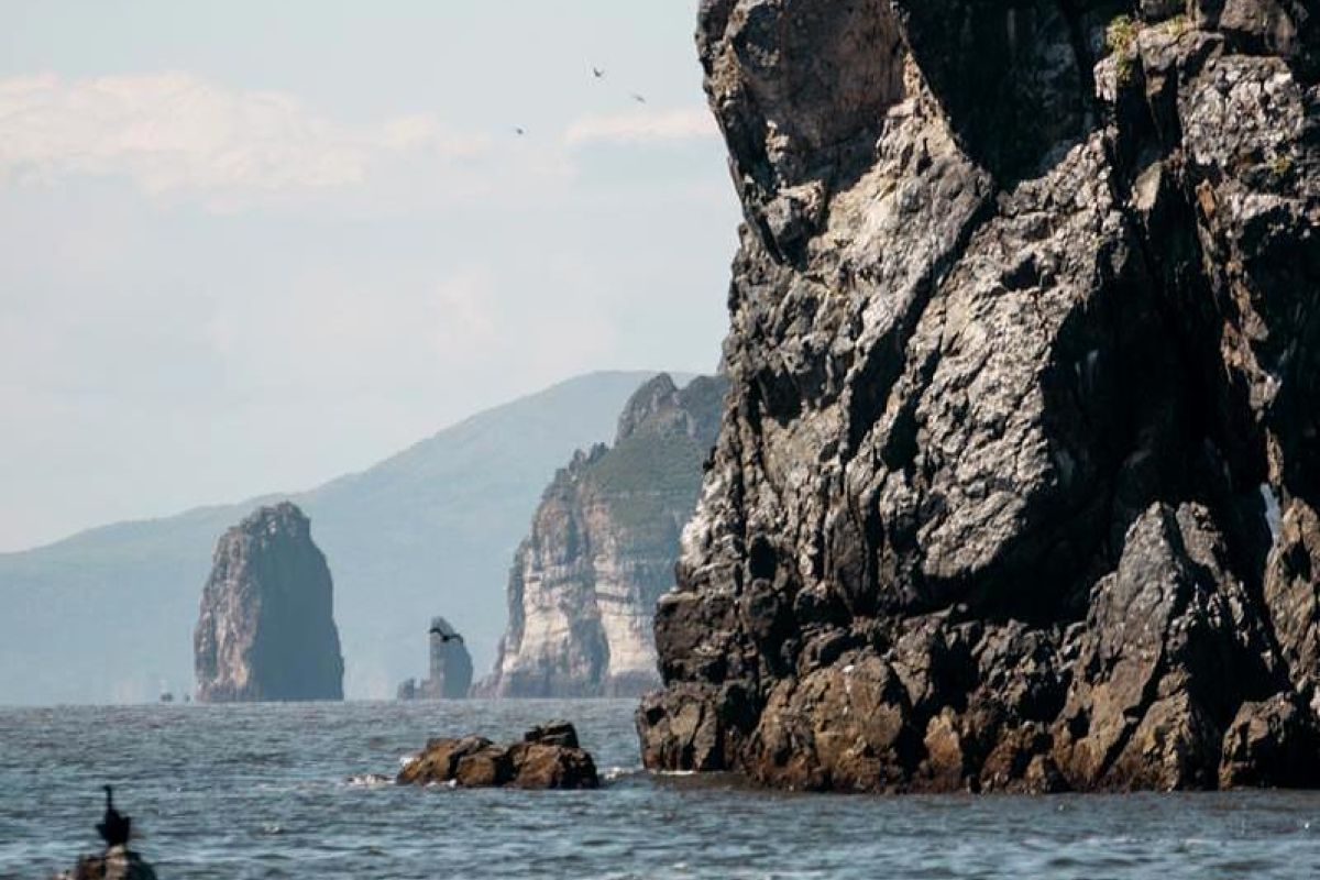 Заповедное Приморье: с юга на север