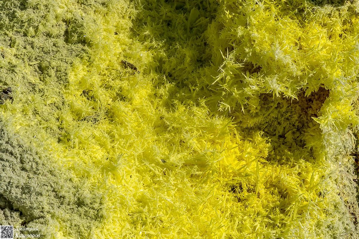 Кунашир и Шикотан. Путешествие на другую планету