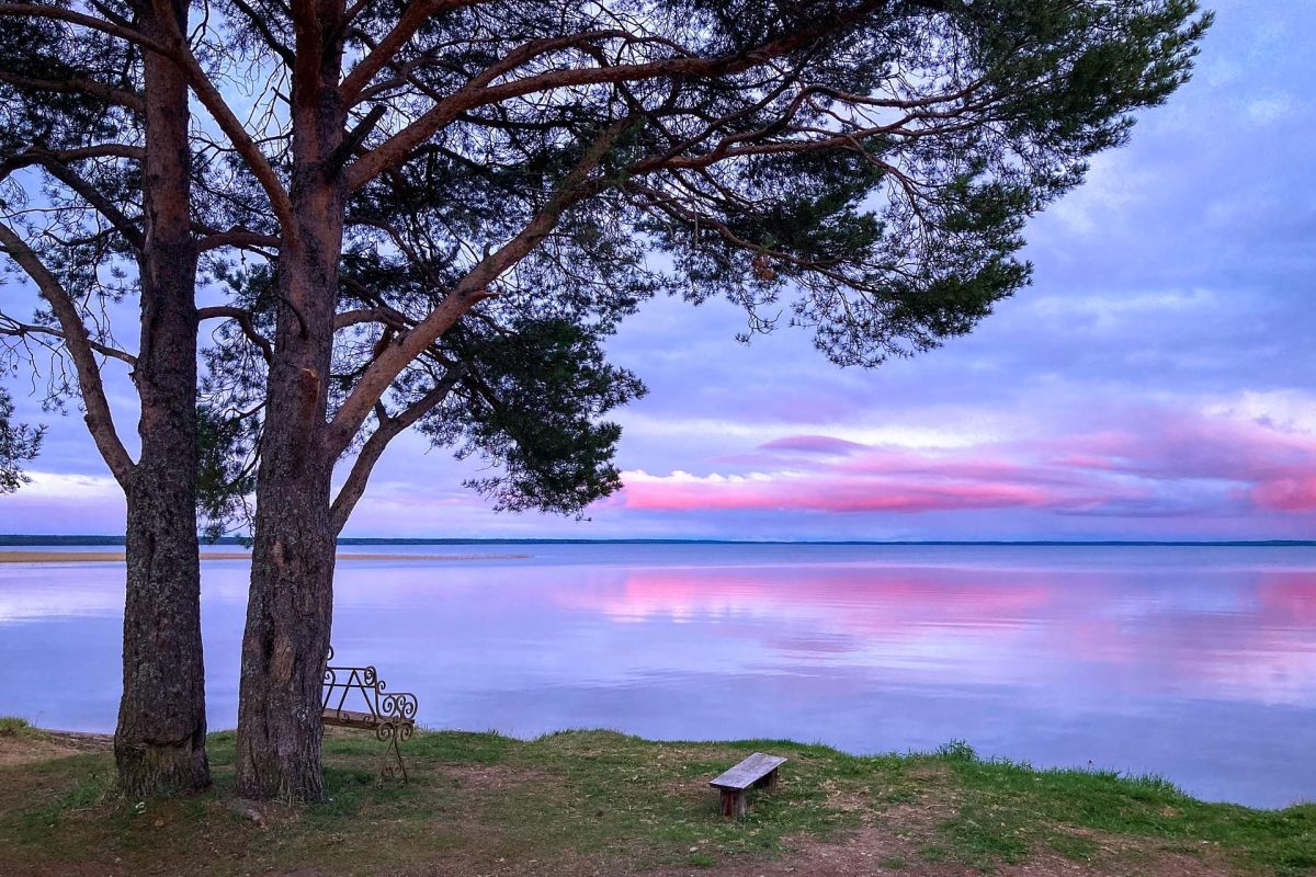 «Майский сет»