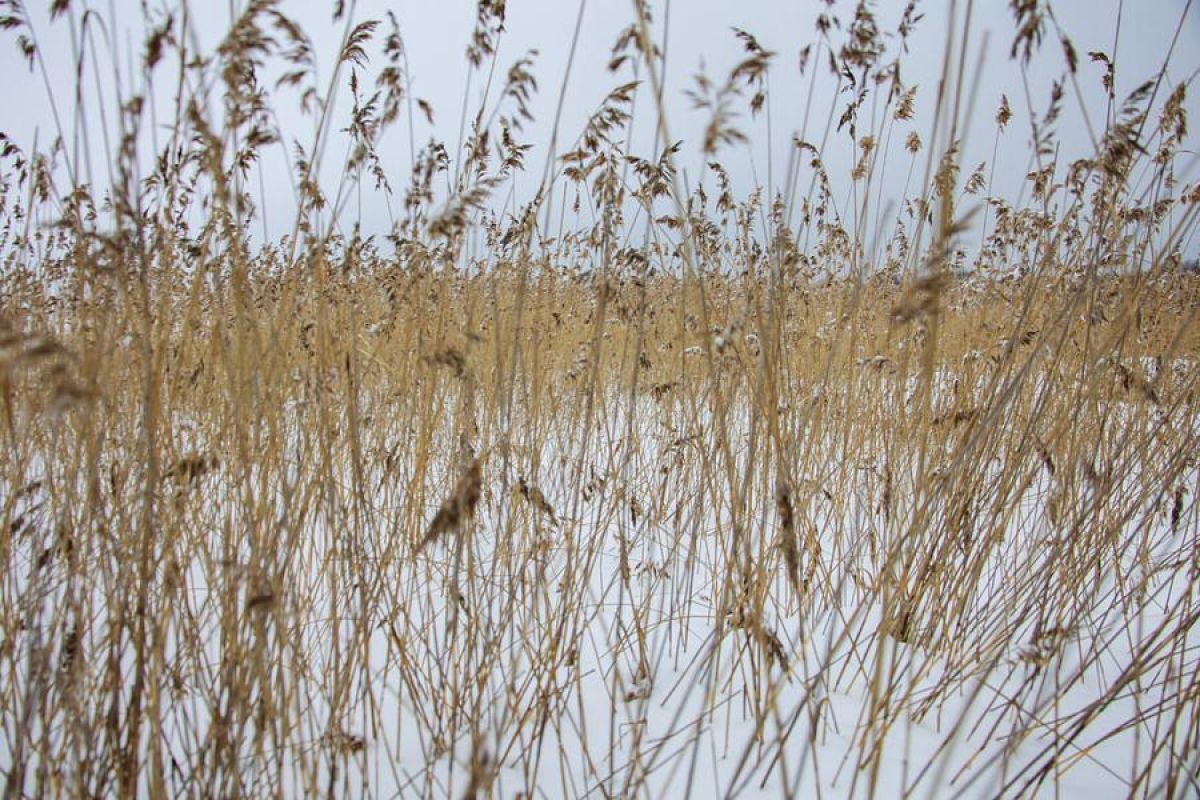 Путешествие на снегоходах на Вулкан Гирвас