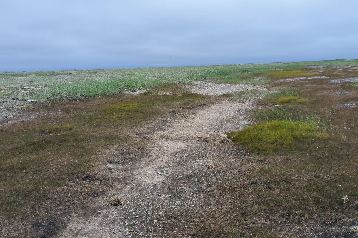 Бросок к последнему морю (Чукотка, коса Русская Кошка)