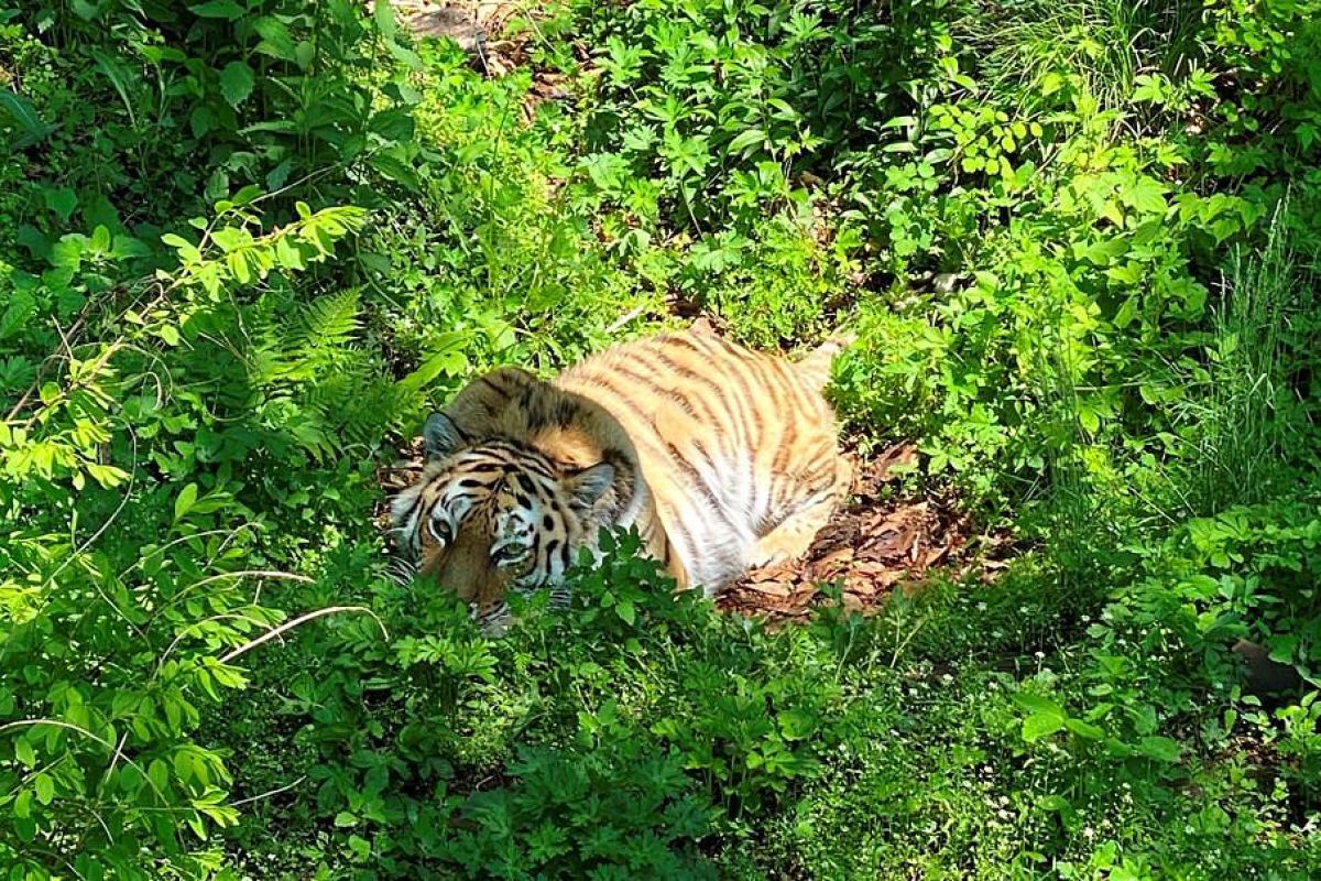 Отпуск в тельняшке (Приморье)