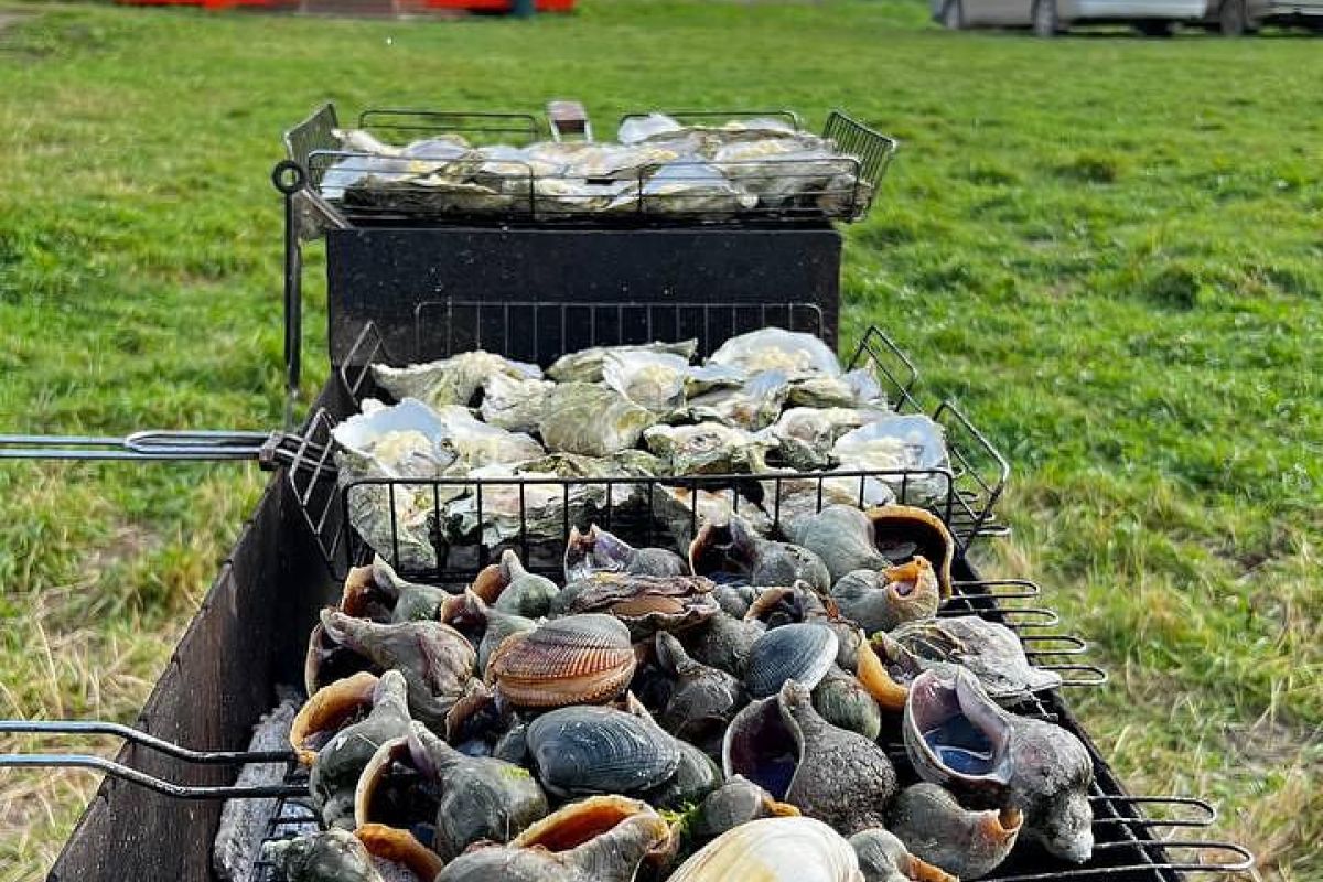 Маяк Анива + Озеро Буссе (Сахалин)