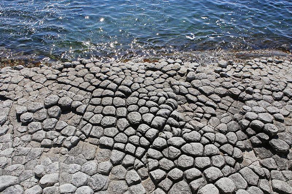 Сахалин и Кунашир