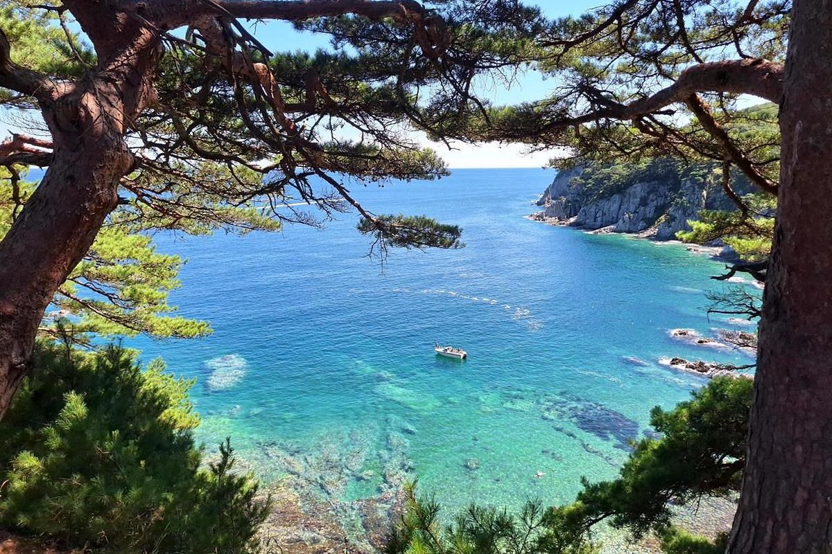 Полуостров Гамова: олени и заповедное море