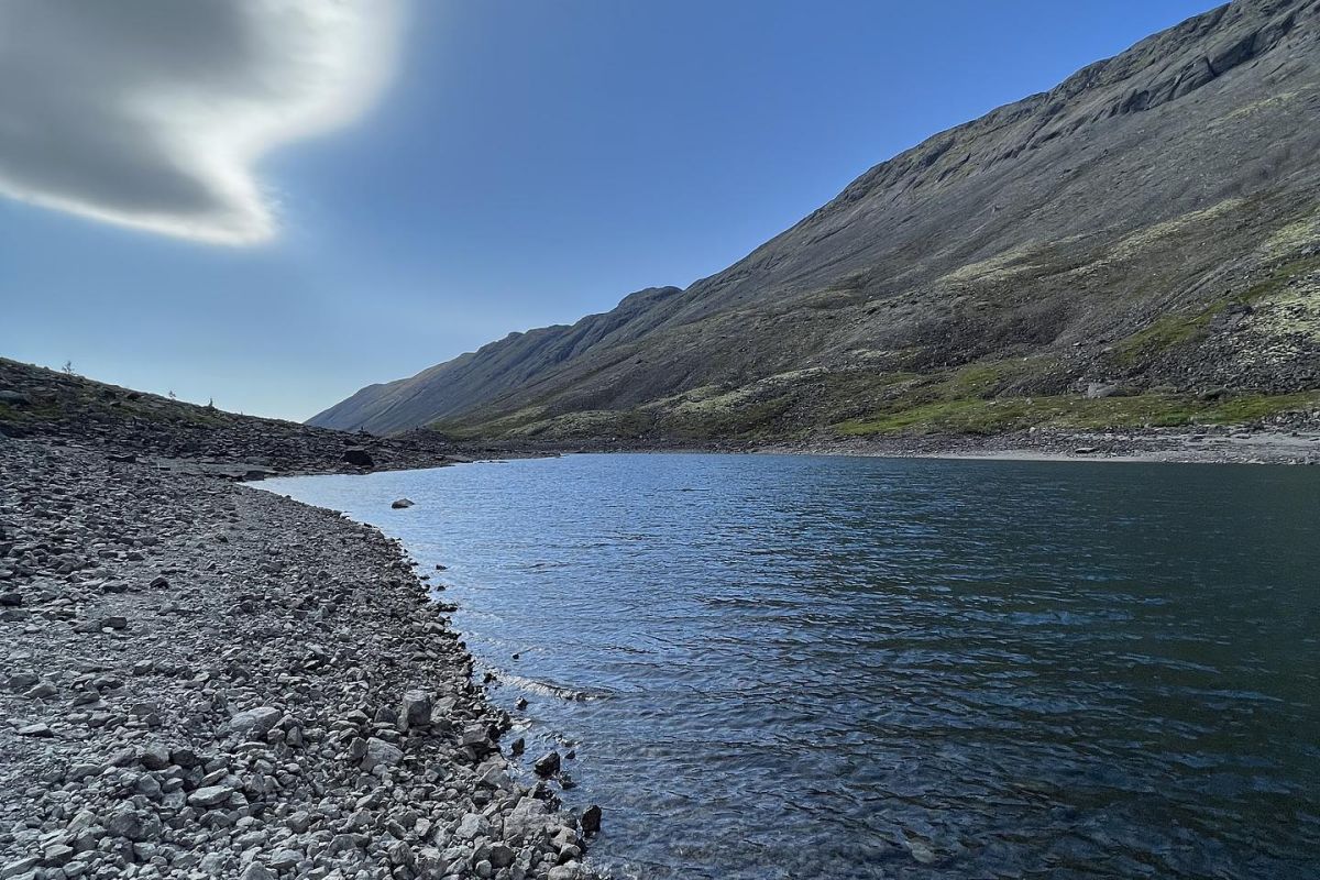 Край стихий: Киты. Океан. Горы. Водопады