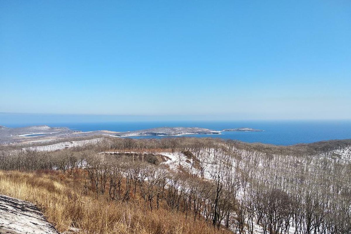 Вокруг острова Русский (экскурсия)