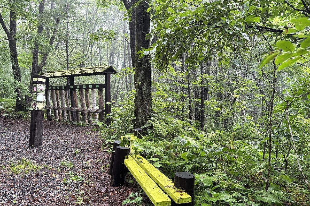 Земля леопарда + Японское море