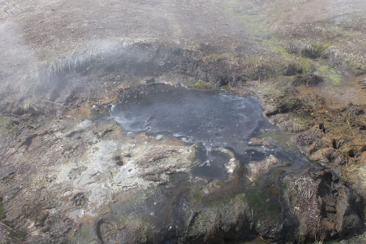 Дачные источники (Камчатка, экскурсия на вездеходе)