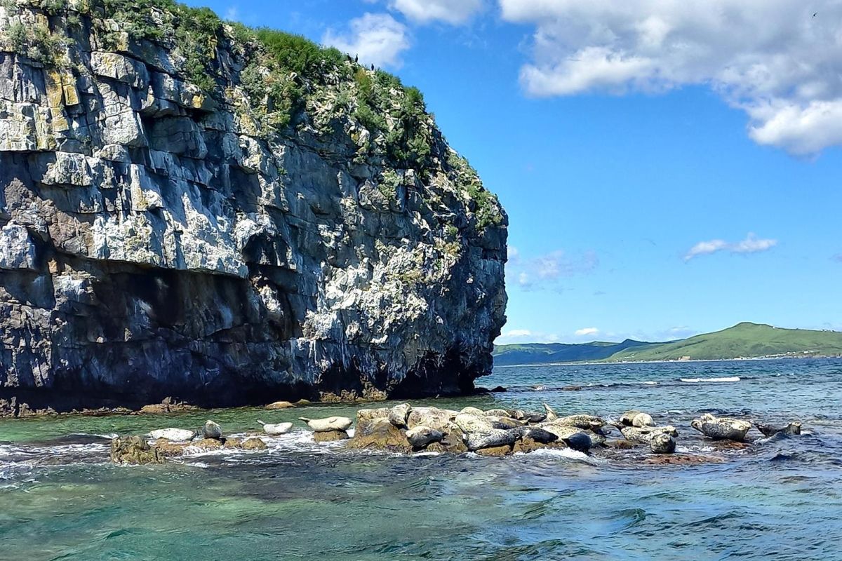 Земля леопарда + Японское море