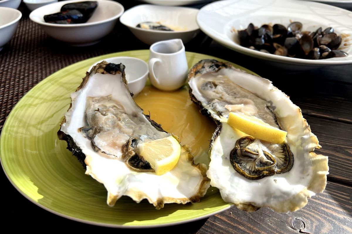 Тигры. Устрицы. Мосты. Владивосток