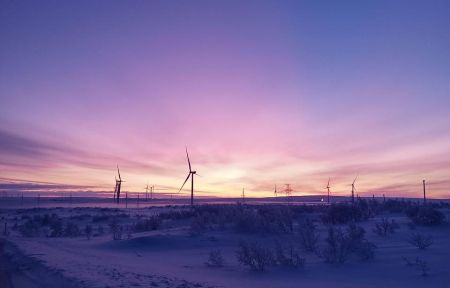 Ешь, лови, кайфуй (новогодний)