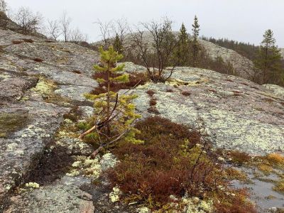 Архипелаг Кузова и Соловки (3 дня)