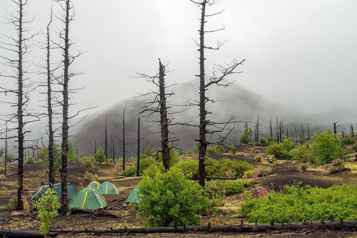 Толбачик. По следам извержения