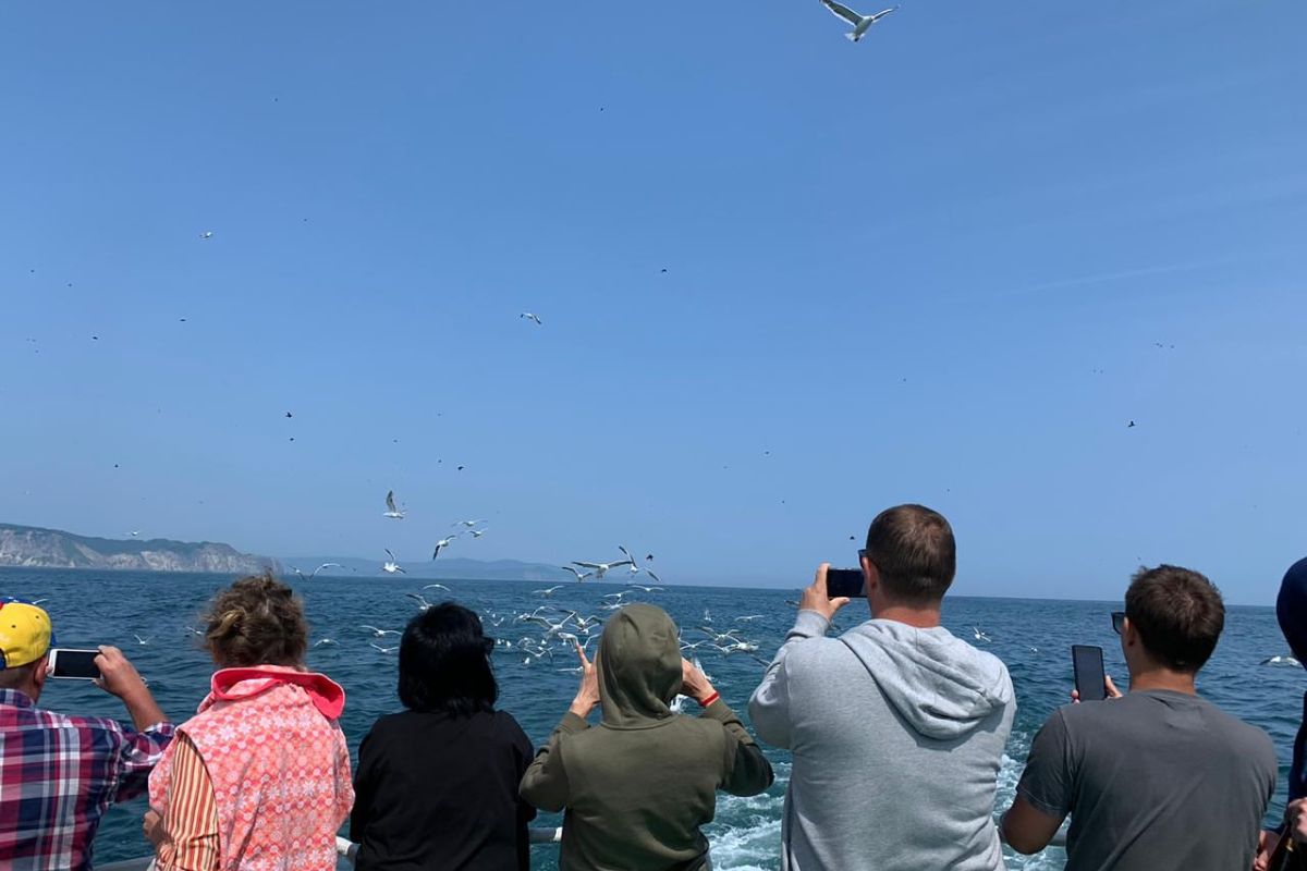 Камчатский натюрморт