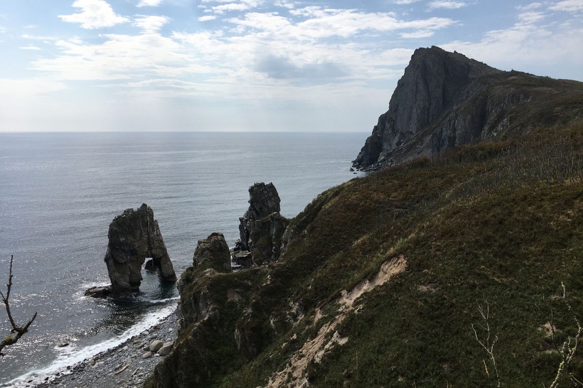 Сихотэ-Алинский заповедник: по следам амурского тигра!