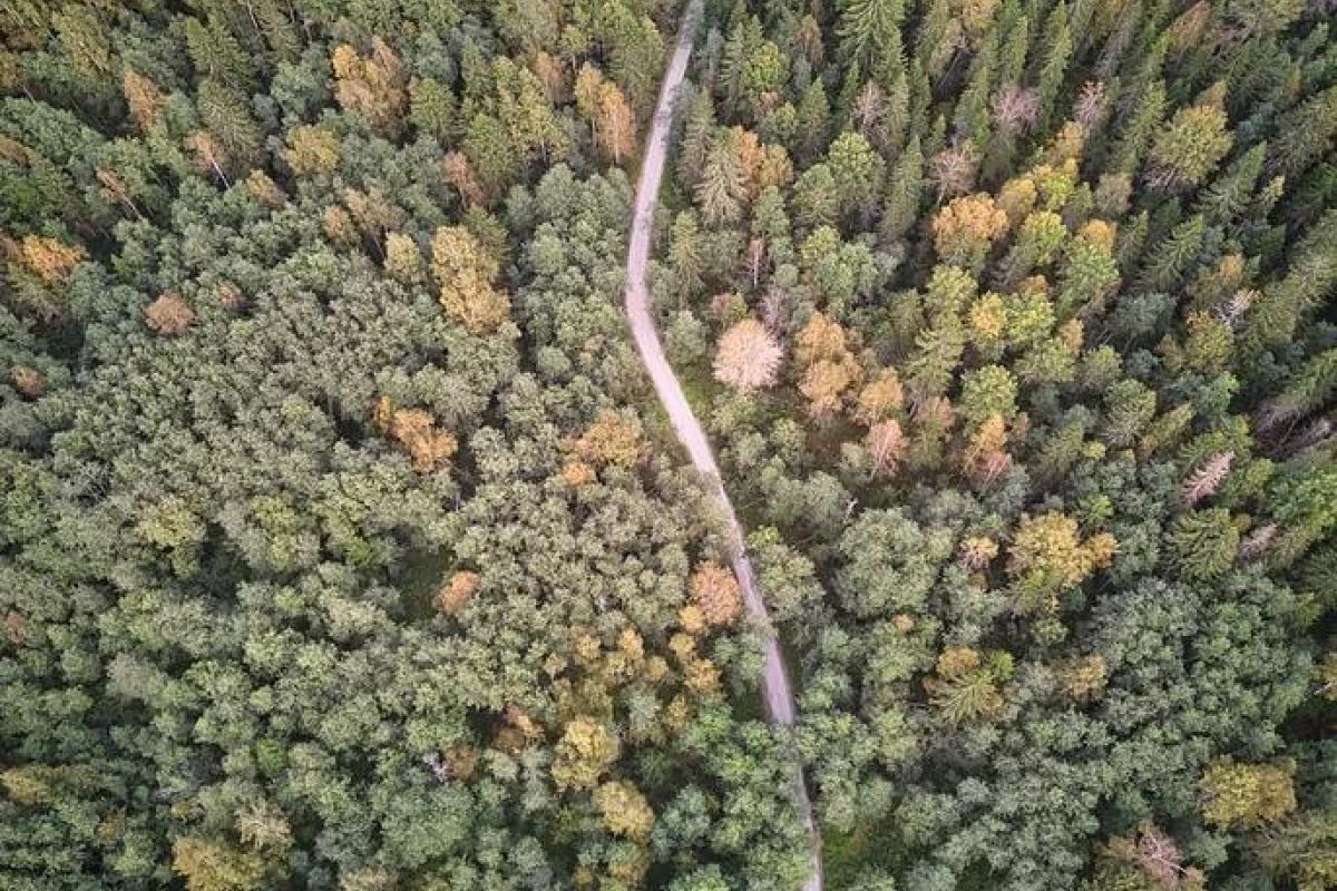 Карельские денёчки в Сортавала