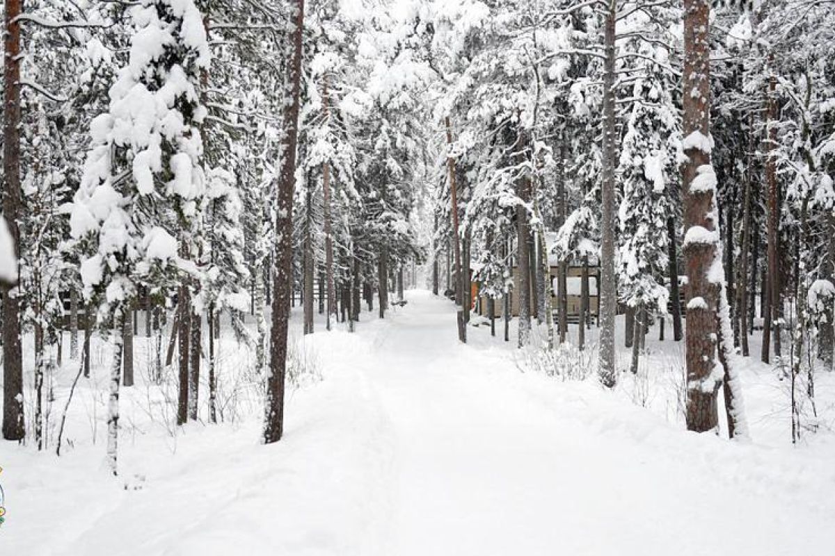 Однодневные снегоходные маршруты по Карелии