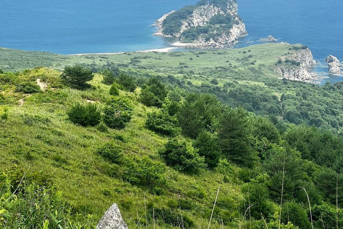 ЧУДЕСА ПРИМОРСКОГО КРАЯ