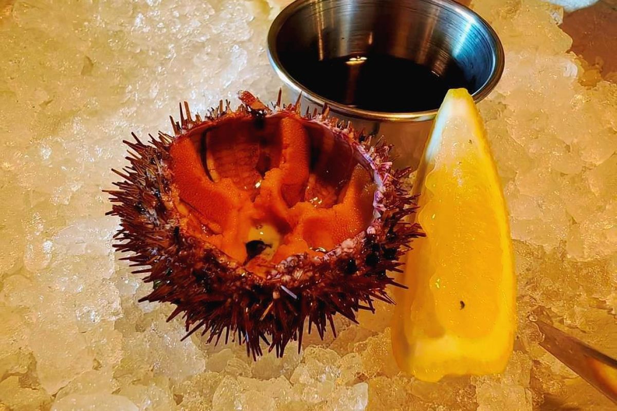 Знакомство с Владивостоком