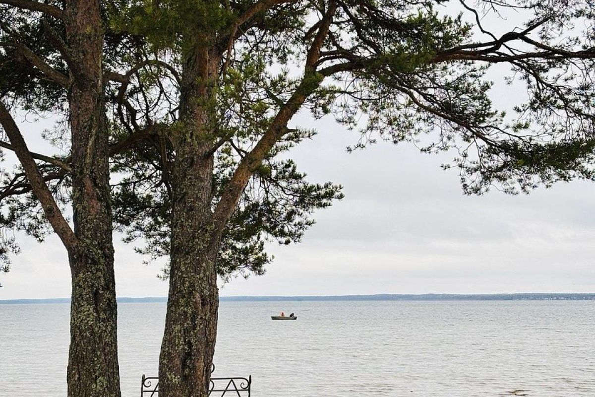 Банный тур в Кенозерье "Северная баня"
