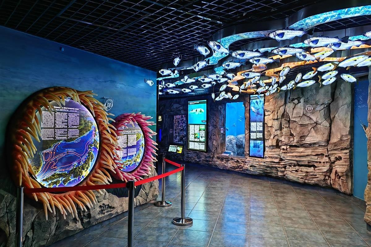 Тигры. Устрицы. Мосты. Владивосток