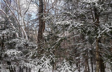 Водопад Горбатый