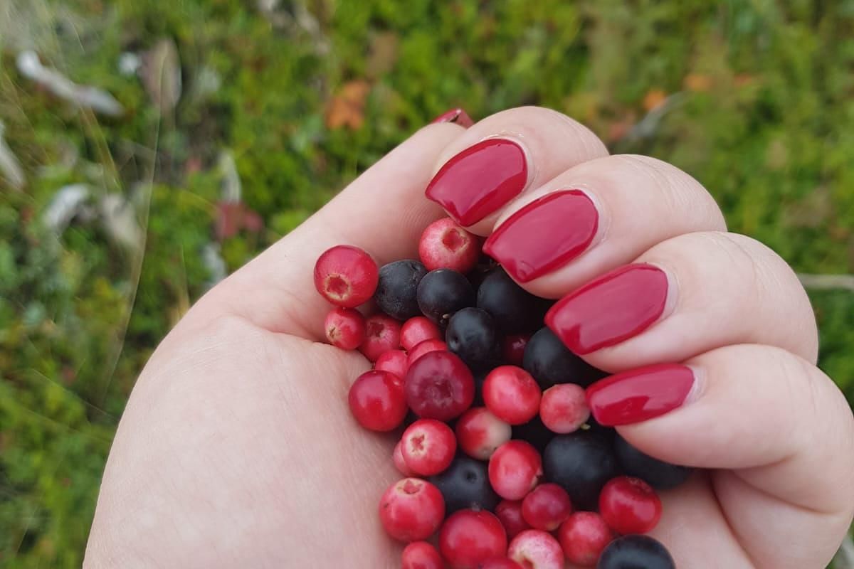 Джип-тур к подножию Авачинского вулкана и к Халактырскому пляжу